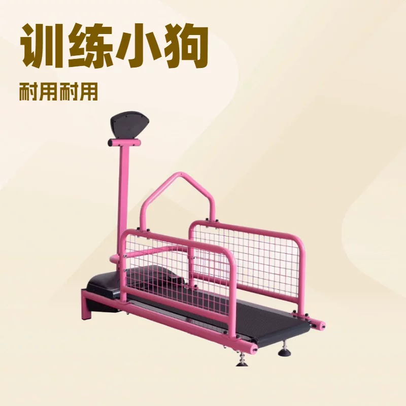 Stepper, equipment for training, pet, for running