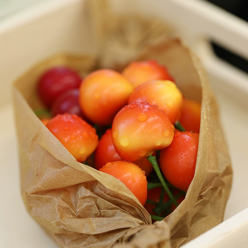 ✅ Оконные украшения, импортная модель цитрина, вишни, реквизит для фотосъемки, фрукты, кухня, мягкие украшения, фото выставка