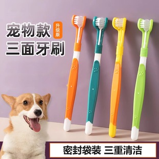 Three-head toothbrush pet toothbrush dog cat toothbrush cat dog oral cleaning supplies small dog soft hair toothbrush