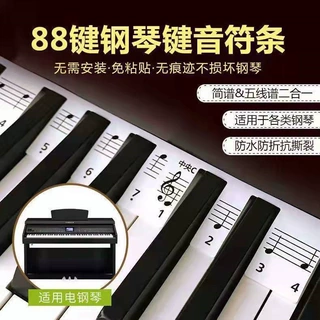 琴键贴88键钢琴键盘贴立式电钢琴贴五线谱简谱音符条音标贴初学者