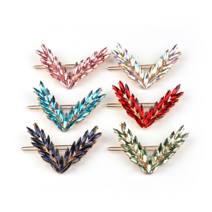 �¿��n��ɭϵV�Ͱl�A����A���^r�П��u����lW�t�n��һ��