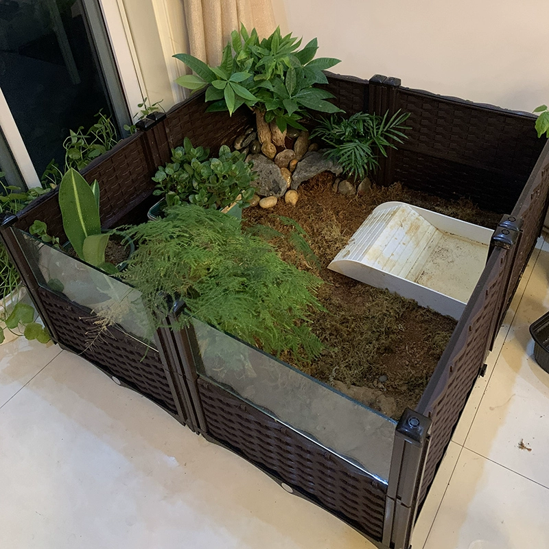 Специальная коробка для черепахи с желтым краем на краю платформы