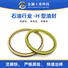 旋转四氟H型油封泛塞封真空泵耐高温耐腐蚀-196℃弹簧蓄能密封圈