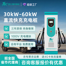 瑞华智能30/40/60kw千瓦单双枪直流快充充电桩380V新能源汽车九孔