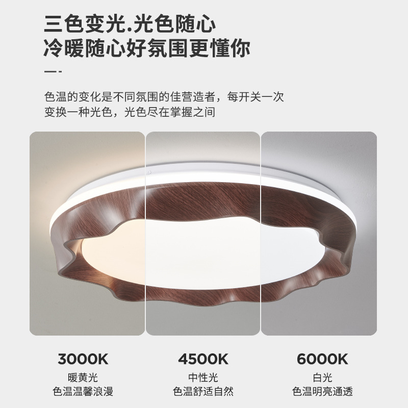 [Seleccionado] Lámpara de techo de protección ocular retro francesa