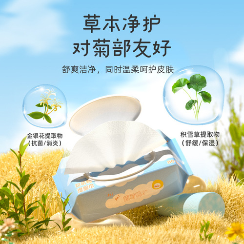 Plant Protection Super Cute Duck Wet Toilet Paper Baby 5 Pack Private Area Wet Wipes Cleaning Large Pack Family Size Affordable First Generation Wholesale