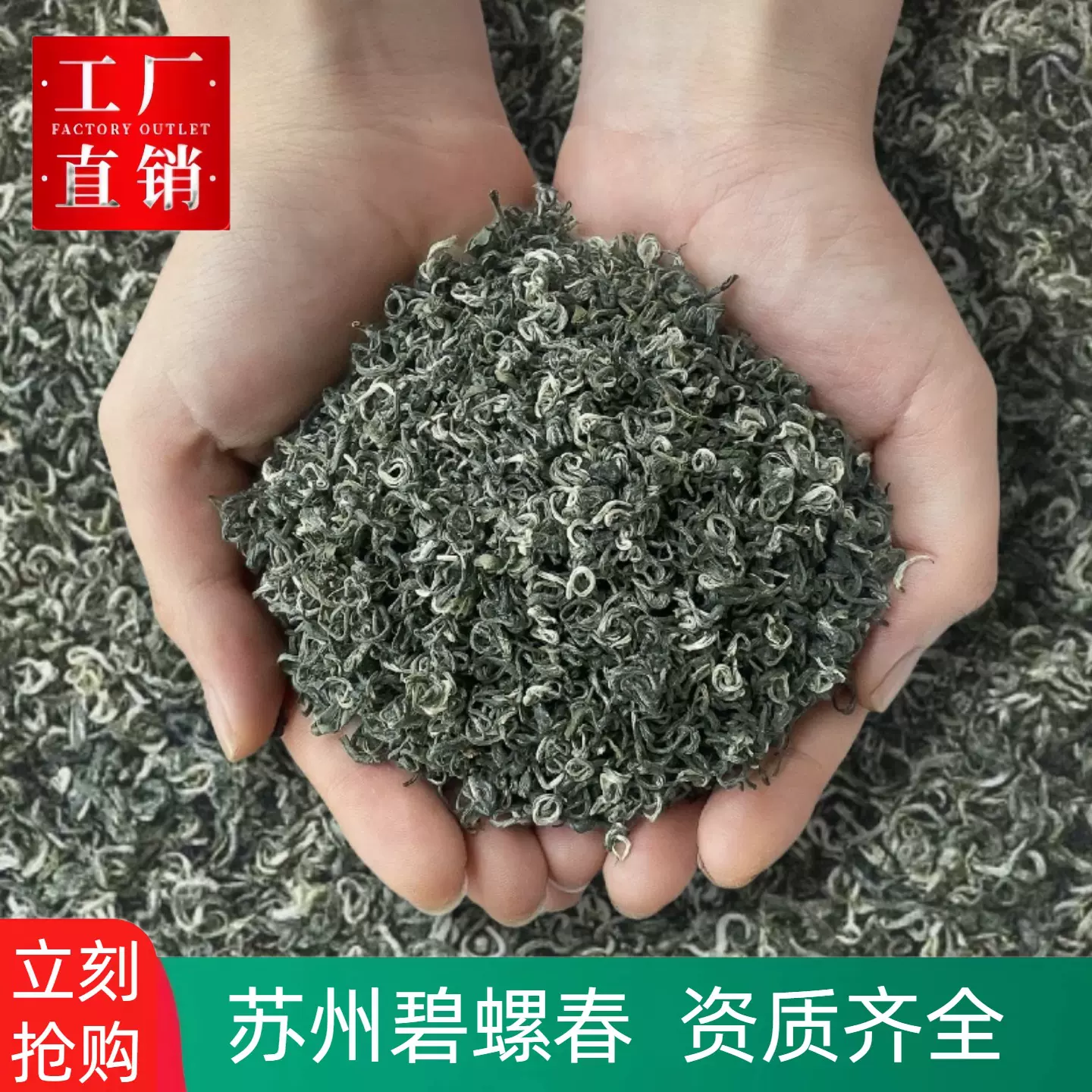 2025年新茶茶叶绿茶散批批发浓香型花果香高性价比散装500g碧螺春