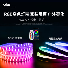 Led付きスマートbluetooth制御リビングルーム天井ネオン家庭用カラフル変色屋外防水ライトバー220v
