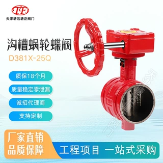 塘沽塘正阀门沟槽蜗轮蝶阀球墨铸铁材质DN40-DN300规格D381X-25Q