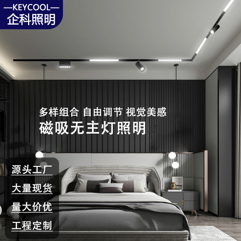 Thickened magnetic attraction track 20 home decoration without main lamp design LED wholesale open and concealed embedded 48V track lamp