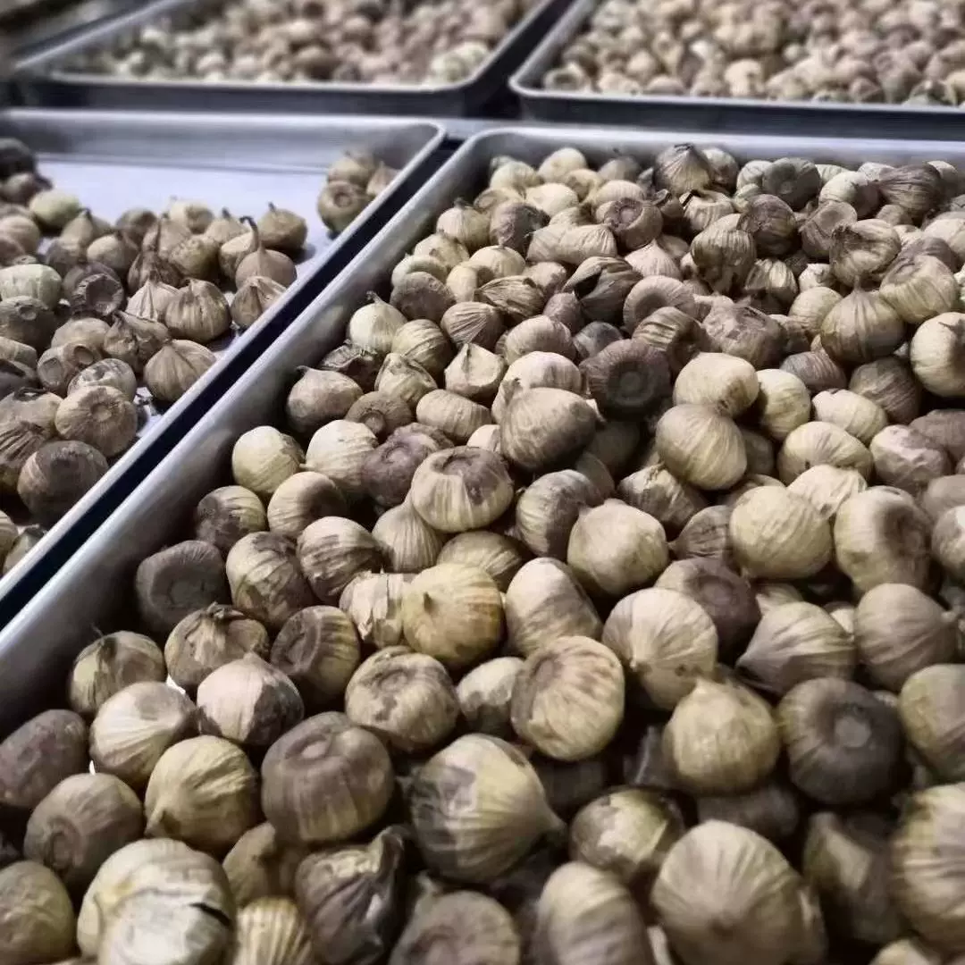 山东金乡厂家直销发酵独头多瓣即食出口黑蒜500g/罐罐装即食黑蒜