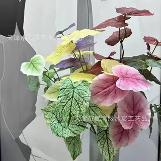 仿真海宇叶 莫奈之窗 绿植婚庆造景装饰搭配家居花园人造绿化装饰
