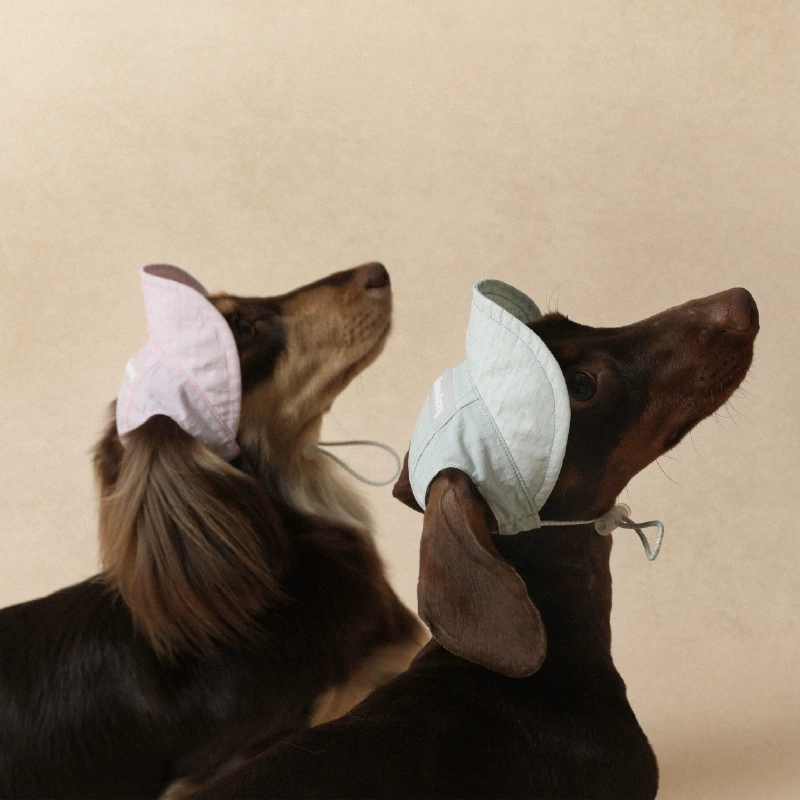 ♡ Легкая солнцезащитная шляпа для собак, легкая, водонепроницаемая, регулируемая, весенне-летняя, с открытыми ушками, малого и среднего размера.