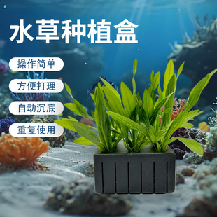 [Cross-Border] Aquatic Plant Planting Box, Fish Tank Plant Planting, Aquatic Plant Cultivation, Fixed Aquatic Plant Mud Planting Box, Bottom Box