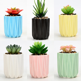 �������Ī�m���մ��� ����ֲ������ ���R�d�W���羳���Q���l����