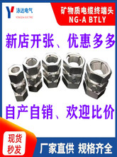 勝華BTLY電纜頭NG-A鋁終端頭五芯接地終端礦物質電纜頭接地卡其他