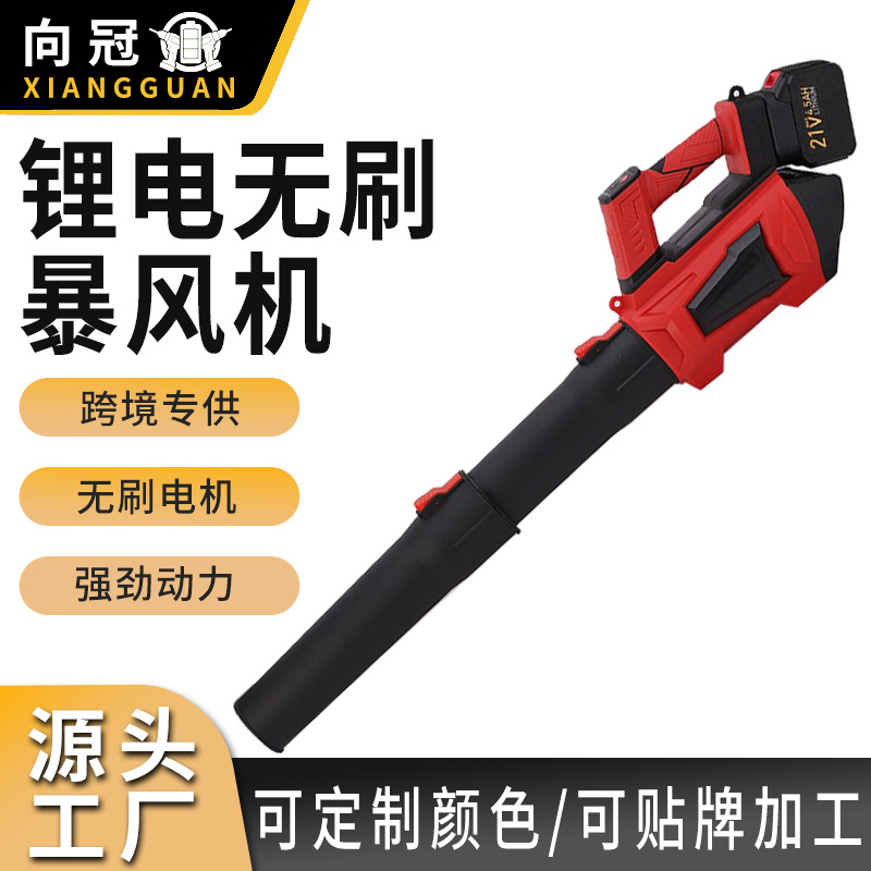 Cross-Border New High-Power Electric Hair Dryer Household Large-Mouth Blower Handheld Lightweight Wireless Lithium Electric Leaf Blower