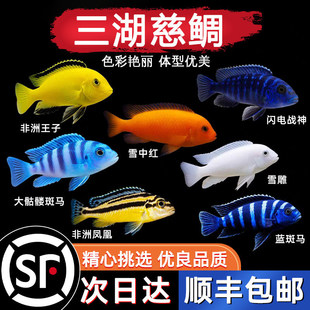 ���������~С�͟Ꭷ�^�p�~���{���R��ˮ���B�������ӵ���P�˺ھ�