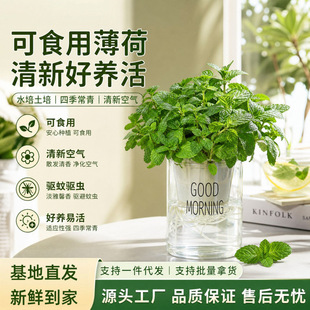 ��ʳ���Ե����~����ò�ˮ����B�����҃ȾGֲ�������
