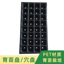 穴盘育苗盘西红柿辣椒加厚蔬菜种植多肉秧苗扦插托盘草莓培育盘