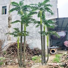 仿真檳榔樹室內外展示盆景椰子樹廠家定作大型落地假盆栽綠植假樹