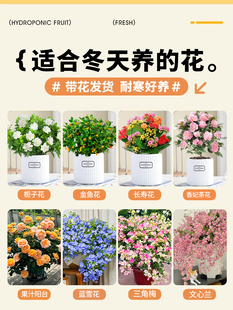 �m�϶����B�Ļ����첻���Ļ������ļ��Gֲ�_���B����ͺ����l