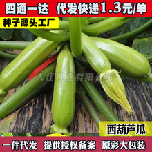 �����J�N�ӽǹϷN�������߲˷N�������ͺ��͟�������G�W����