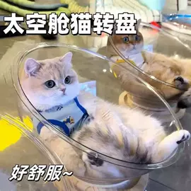 猫厕所;猫猫食具;狗厕所