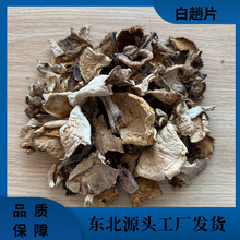 【农贸市场专属】东北野生白趟蘑  一手货源  山珍菌菇批发