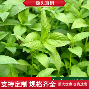 ͥԺ���ԷNֲ��ݻ��ܷN�Ѵ��~�G��N�����G�j���j����U����K