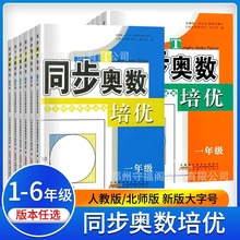 2024同步奥数培优小学一二三四五六年级数学人教版北师大苏教西师