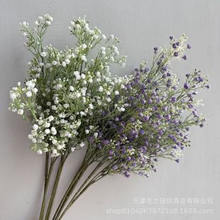 С����3��M�������l���滨�ٻ����Q�廨�Ҿ��b�c����������