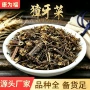 量大中药材当药青叶胆