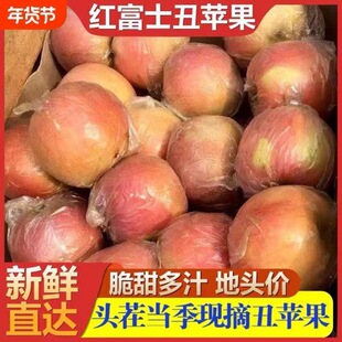 �\���R⢼t��ʿ������r���������������S�C�оG���O��һ�����l