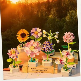 ��һ��ͯ���eľƴ�b��������[�����նY��������ߌW������С�YƷ