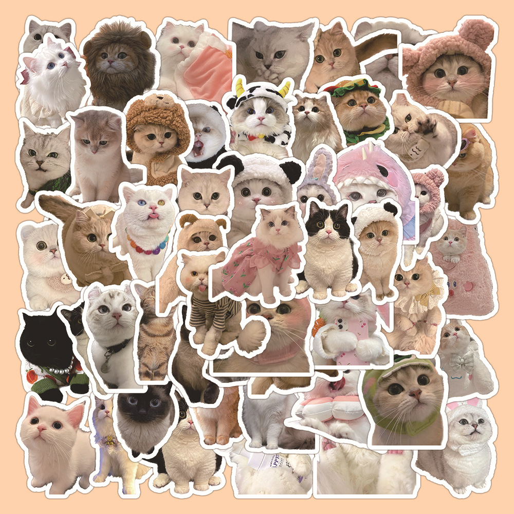1 Set Dog Cat Learning PVC Self-adhesive Cute Stickers display picture 1