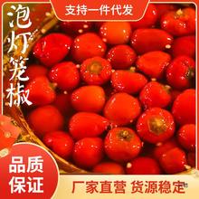 四川泡灯笼椒二荆条小米辣椒产新繁泡菜酸海椒泡椒商用