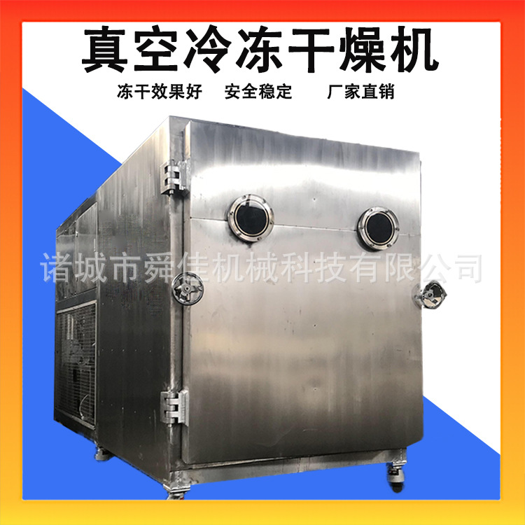 10平方 中药材黄芪低温真空干燥机 小麦穗抽湿真空冻干机设备