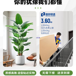 �����B�Gֲ�p�ݷ������͏d�����҃����Ԕ[���b��ֲ��