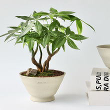 �lؔ�����ԾGֲ�辰��������̦�\���҃��k���������ڏ��������_