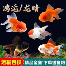 ���~���~�^�p�~��ˮ��ˮ�~С�ͺ��B�ͻ��\���~��С