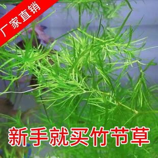 ˮ��ӡ��С���񹝲����ֺ��B�ͻ����ˮ�����ˮ���~���쾰