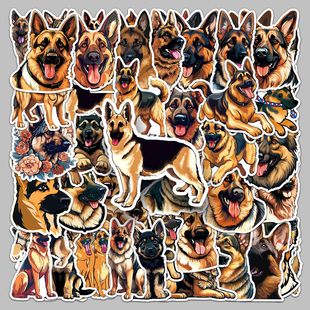 50����Ȯ������Ȯ������Ȯ��ͨ���ﹷ����ˮ�bPӛ�����~�N��