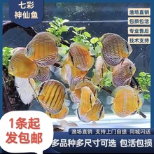 �߲������~��ˮ�Ꭷ�^�p�~�����{�t��Ұ���S�����ӵ����~����]
