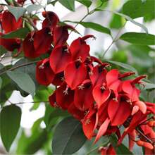 �²��u�ڴ�ͩ�N�� ������ͩ �u�ڶ��N�� �����t �u�ڻ���N��