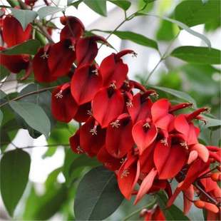 �²��u�ڴ�ͩ�N�� ������ͩ �u�ڶ��N�� �����t �u�ڻ���N��