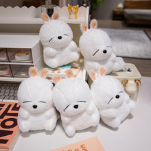 һֻ��å�ù��п�ͨܛ���̰�С��ë�q�����Ů�����նY�ﾫƷ����