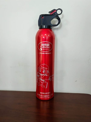 National Standard Vehicle-Mounted Fire Extinguisher, Small Portable Water-Based Fire Extinguisher for Private Cars, Small Mini Version for Annual Inspection (Vehicle fire extinguisher) - 600-grams