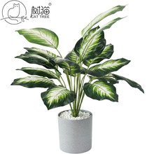 树猫仿真植物盆栽18叶白色万年青桌面假绿植装饰植物墙配件大叶子
