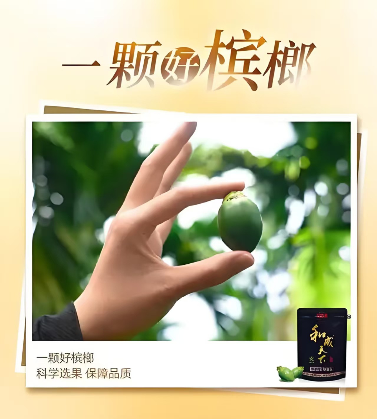 微信图片_20250625010917